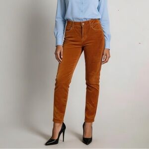 PERUVIAN CONNECTION | Copper Velour Skinny Pants Sz 4